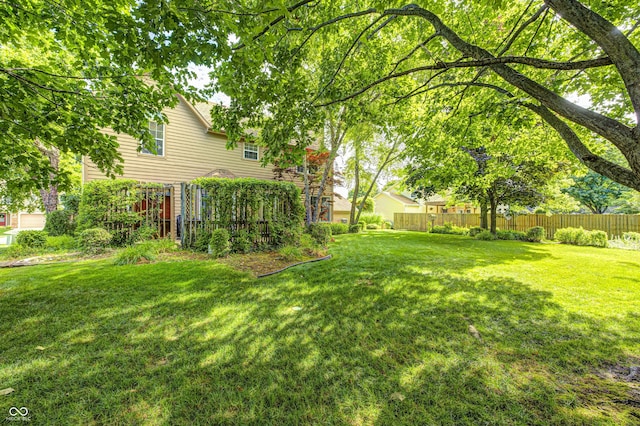 6813 Bluffgrove Dr, Indianapolis, IN 46278 - view of yard