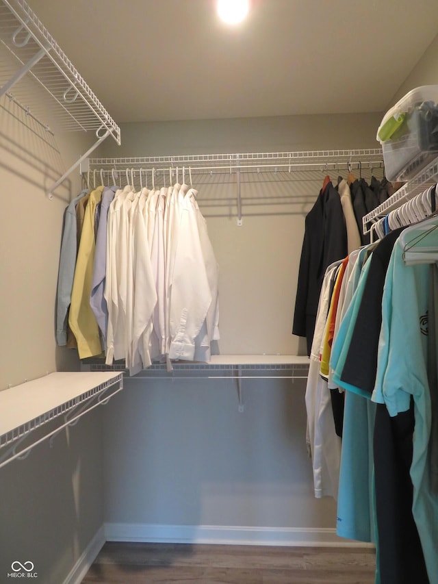 2272 Trefoil Dr, Plainfield, IN 46168 - walk in closet featuring wood finished floors