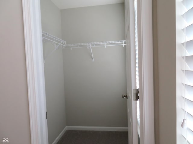 2272 Trefoil Dr, Plainfield, IN 46168 - walk in closet with carpet floors