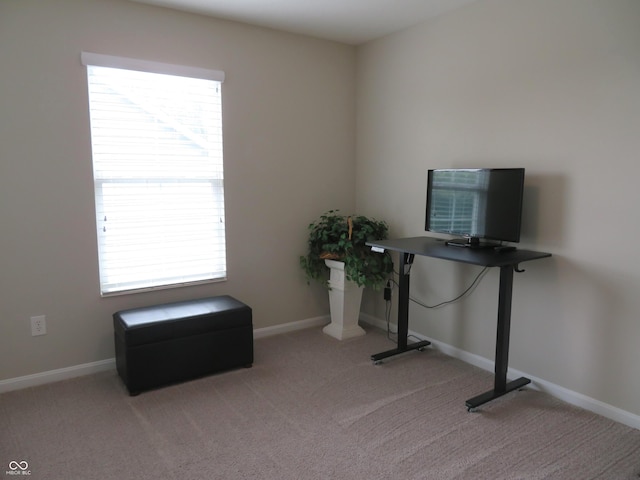 2272 Trefoil Dr, Plainfield, IN 46168 - office space featuring plenty of natural light and carpet