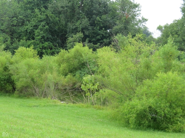 2272 Trefoil Dr, Plainfield, IN 46168 - view of tree filled area