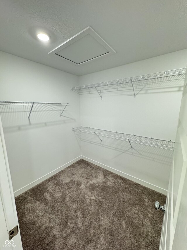 1248 Cassine Pl, Greenwood, IN 46143 - photo 16