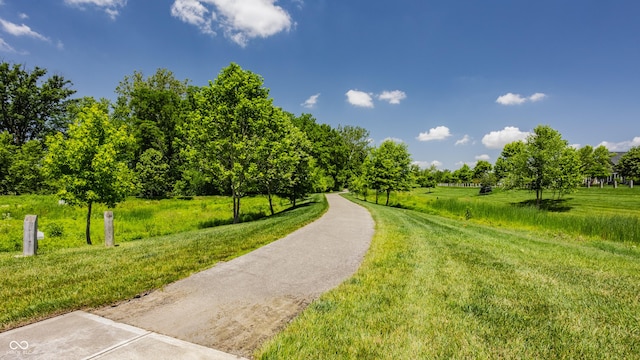 12022 Otto Ln, Carmel, IN 46032 - view of property's community with a lawn
