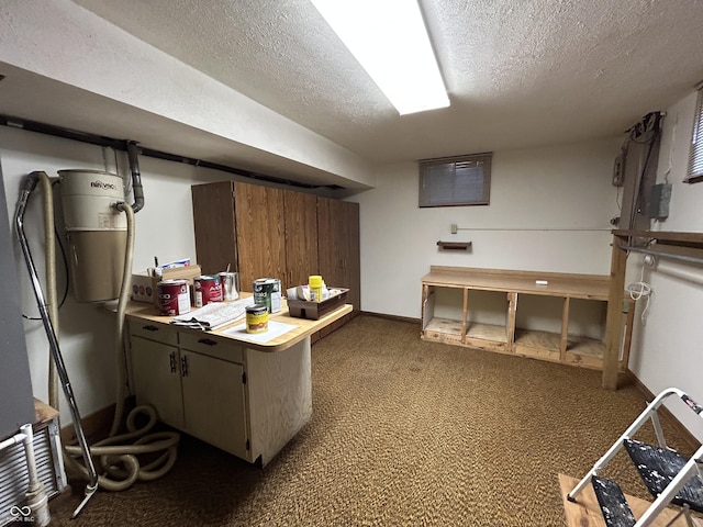 4675 N Riverside Dr, Columbus, IN 47203 - finished below grade area featuring a textured ceiling and dark colored carpet