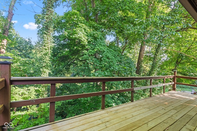 14416 Crystal Creek Dr, Noblesville, IN 46060 - photo 29