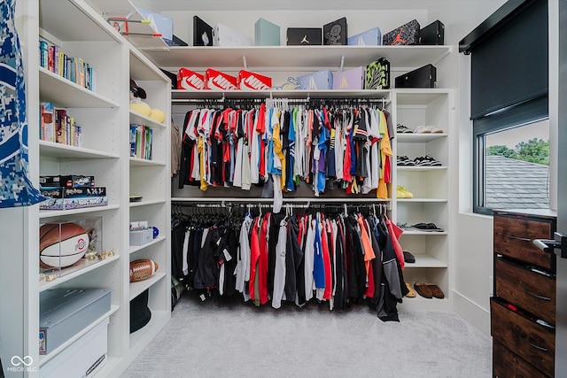 1269 Chatham Rdg Ct, Westfield, IN 46074 - walk in closet featuring carpet floors