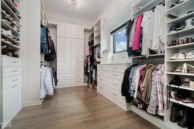 1269 Chatham Rdg Ct, Westfield, IN 46074 - spacious closet with light wood finished floors