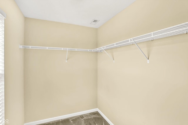 14095 Northcoat Pl, Fishers, IN 46038 - spacious closet featuring carpet floors