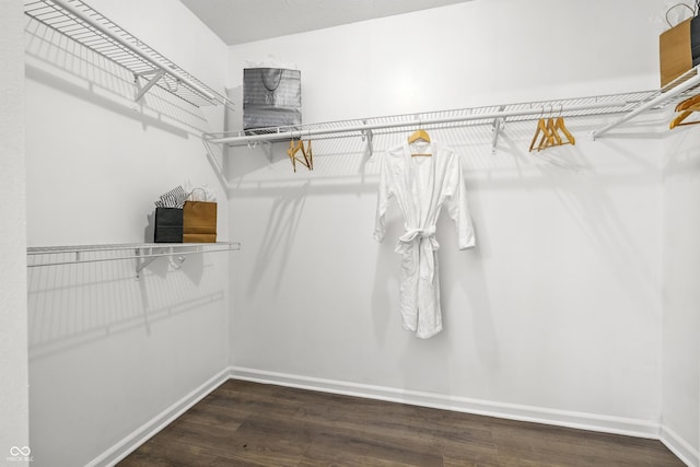12404 Titans Dr, Fishers, IN 46037 - spacious closet with wood finished floors