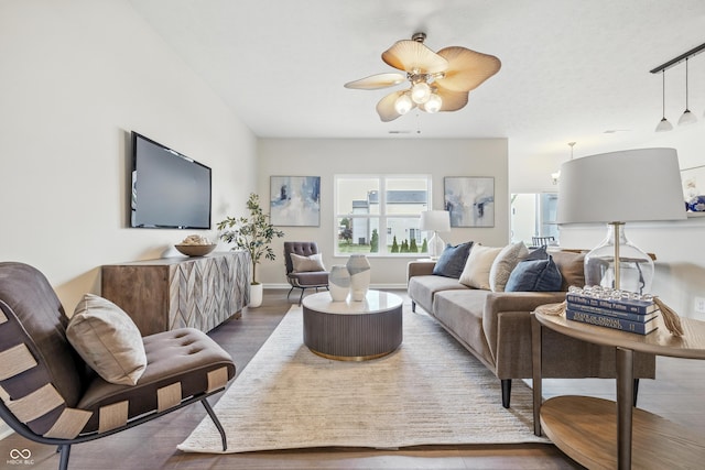 12404 Titans Dr, Fishers, IN 46037 - living room featuring wood finished floors and a ceiling fan