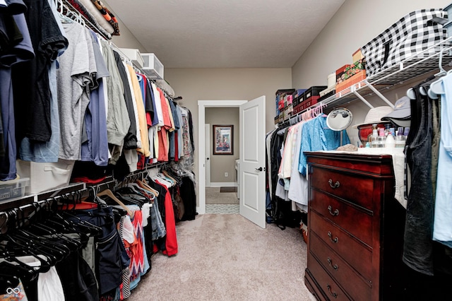 1432 Hideaway Cir, Brownsburg, IN 46112 - walk in closet with light carpet