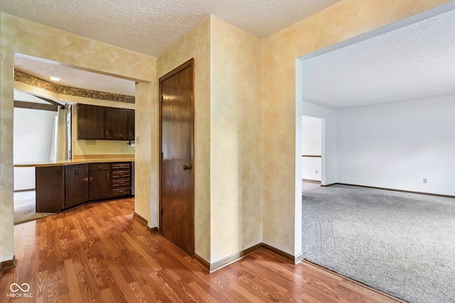 1441 N 700 W, Greenfield, IN 46140 - hallway with wood finished floors, a textured ceiling, and carpet floors