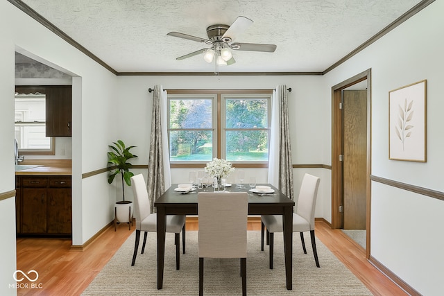 1441 N 700 W, Greenfield, IN 46140 - dining space featuring light wood-style flooring, a textured ceiling, crown molding, and ceiling fan