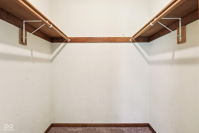 1441 N 700 W, Greenfield, IN 46140 - spacious closet featuring carpet