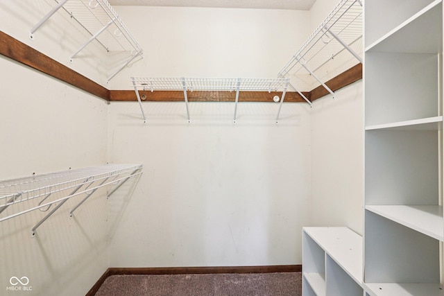 1441 N 700 W, Greenfield, IN 46140 - walk in closet featuring carpet flooring
