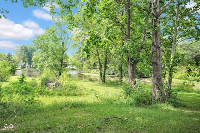 301 Beech Rd, North Vernon, IN 47265 - view of yard featuring a water view