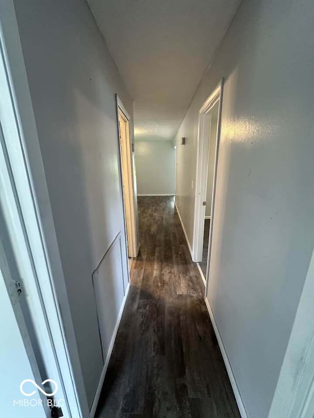 1941 W Booe Rd, Austin, IN 47102 - hall featuring wood finished floors and baseboards