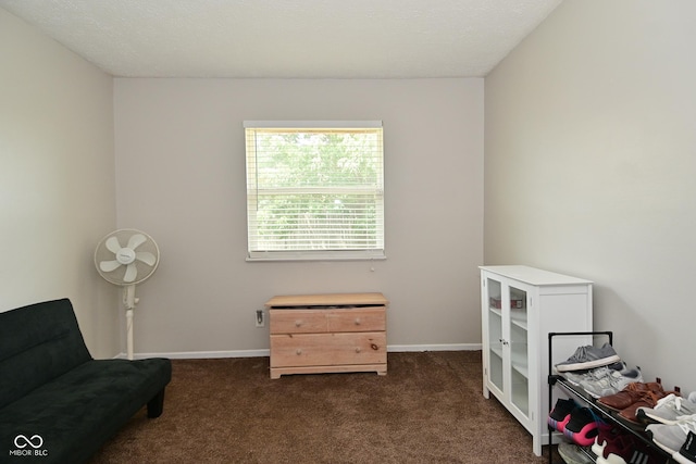 5936 Beau Jardin Dr, Indianapolis, IN 46237 - sitting room featuring dark colored carpet and baseboards