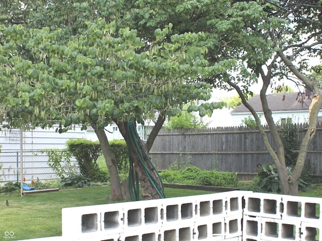 view of yard