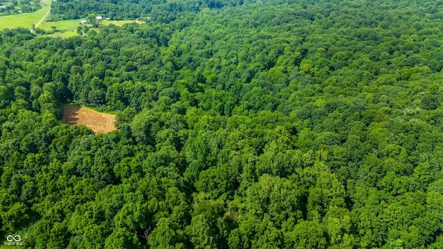 20136 Stone Church Rd, Laurel, IN 47024 - drone / aerial view of a forest