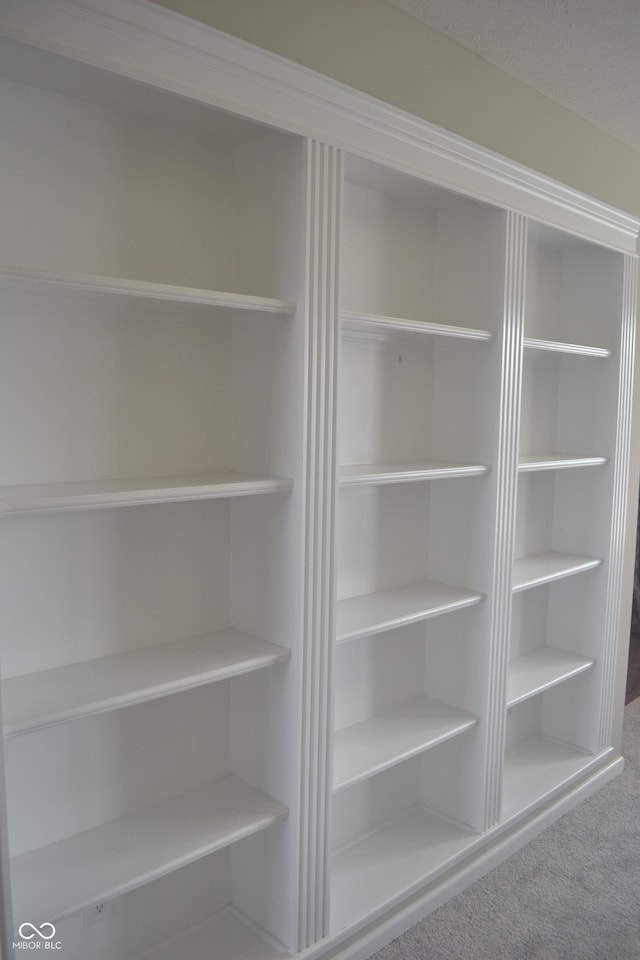 10166 Ranford Blvd, Fishers, IN 46040 - view of closet