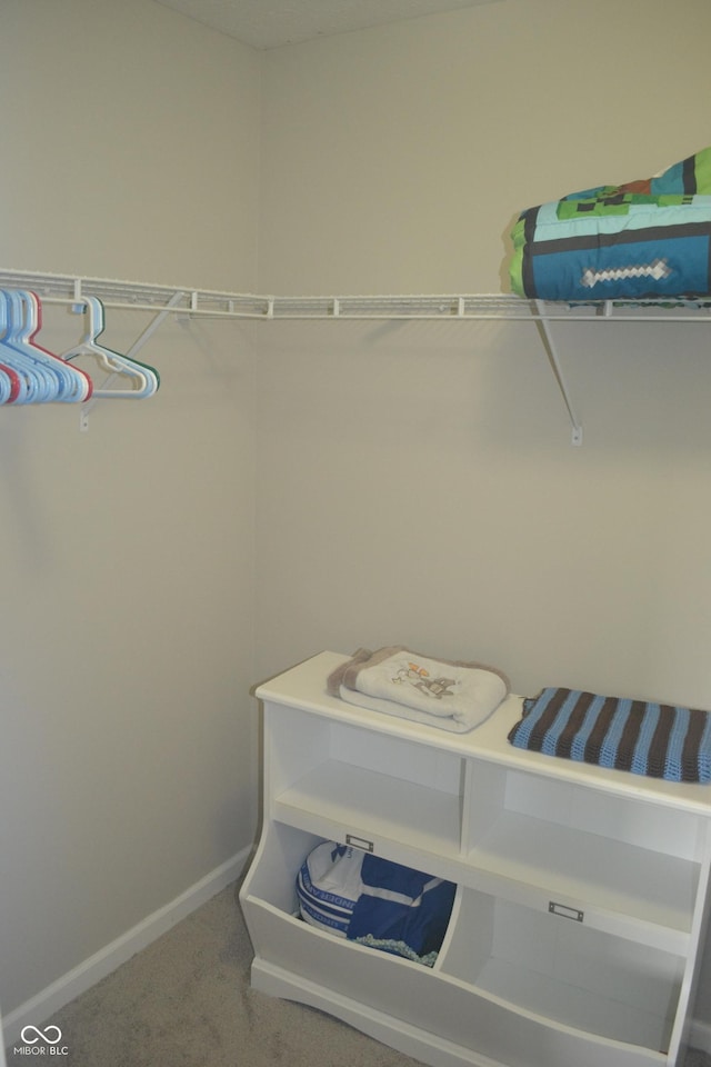 10166 Ranford Blvd, Fishers, IN 46040 - spacious closet featuring carpet floors