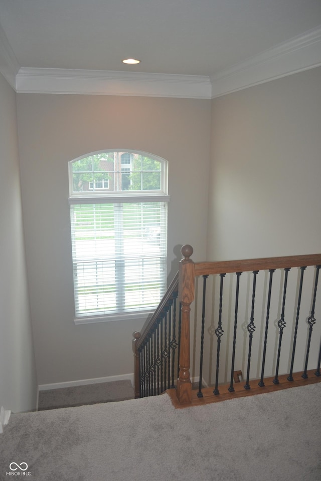 10166 Ranford Blvd, Fishers, IN 46040 - stairway with ornamental molding and carpet flooring