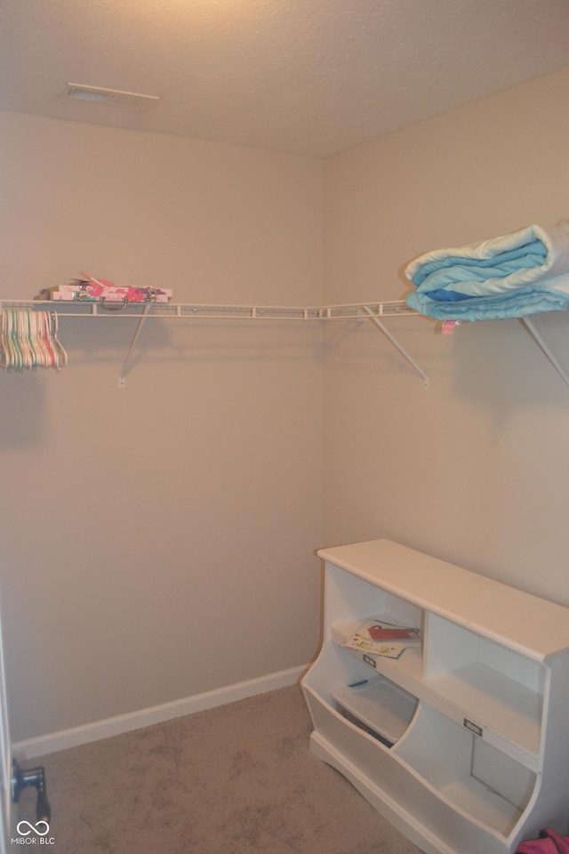 10166 Ranford Blvd, Fishers, IN 46040 - walk in closet with carpet