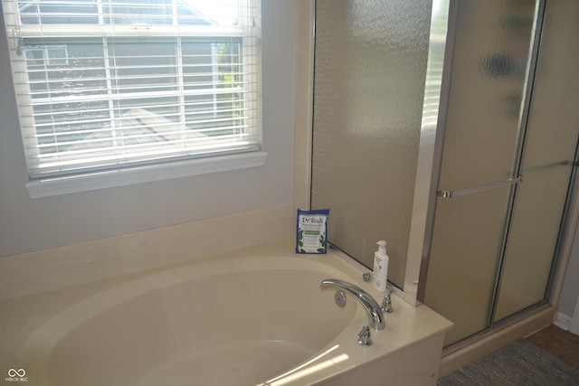 10166 Ranford Blvd, Fishers, IN 46040 - full bathroom with plenty of natural light, a shower stall, and a bath