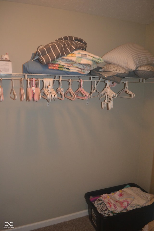 10166 Ranford Blvd, Fishers, IN 46040 - spacious closet with carpet flooring