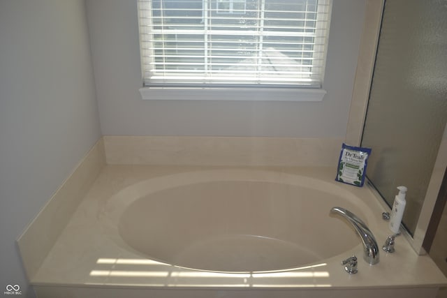 10166 Ranford Blvd, Fishers, IN 46040 - full bath with a garden tub and healthy amount of natural light