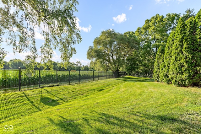 2320 Whispering Way, Indianapolis, IN 46239 - view of yard