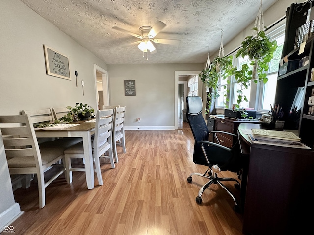 329 S Lockburn St, Indianapolis, IN 46241 - office space featuring light wood finished floors, a textured ceiling, and ceiling fan