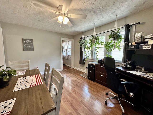 329 S Lockburn St, Indianapolis, IN 46241 - office space with plenty of natural light, a textured ceiling, ceiling fan, and light wood-style floors