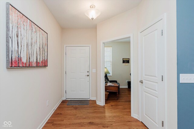 16573 Grappa Trl, Fishers, IN 46037 - photo 17