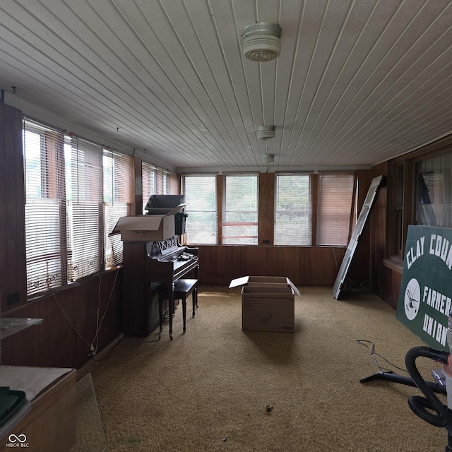 7514 E State Road 42, Poland, IN 47868 - sunroom / solarium with wood walls, wood ceiling, and carpet floors