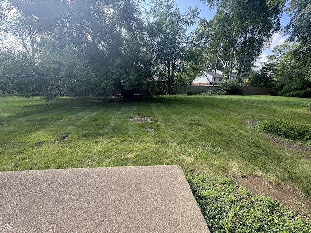 4032 Roselawn Ave, Columbus, IN 47203 - view of yard