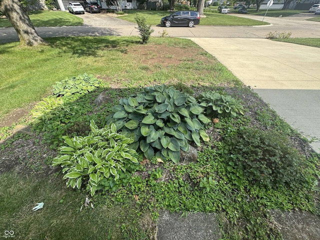 4032 Roselawn Ave, Columbus, IN 47203 - view of green lawn with driveway