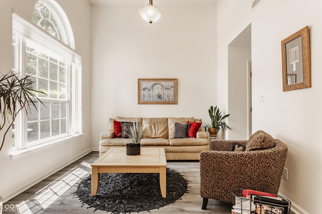13390 Grosbeak Ct, Carmel, IN 46033 - living room with plenty of natural light and wood finished floors