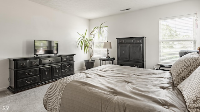 13390 Grosbeak Ct, Carmel, IN 46033 - bedroom featuring light carpet and multiple windows
