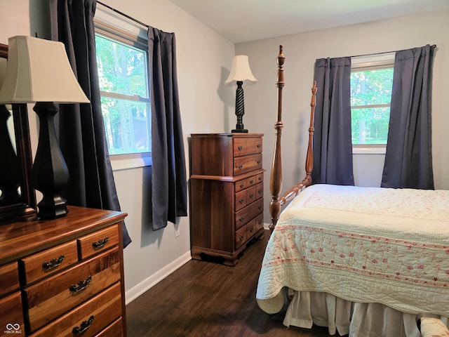 3303 N 850 E, Columbus, IN 47203 - bedroom with multiple windows and dark wood-type flooring