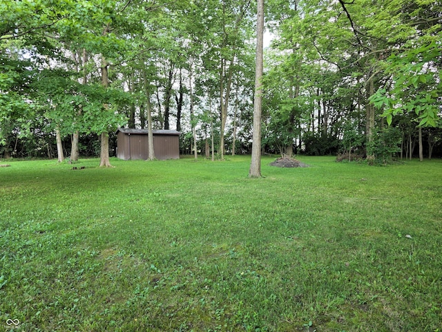 3303 N 850 E, Columbus, IN 47203 - view of grassy yard with a storage unit