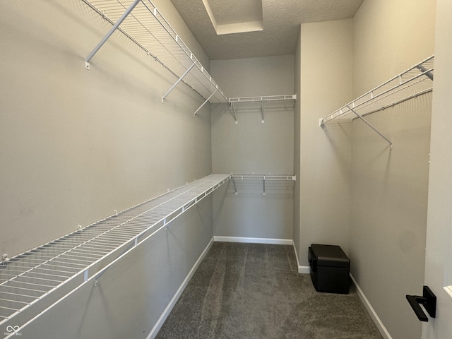 9215 Hawley Dr, Indianapolis, IN 46216 - photo 7