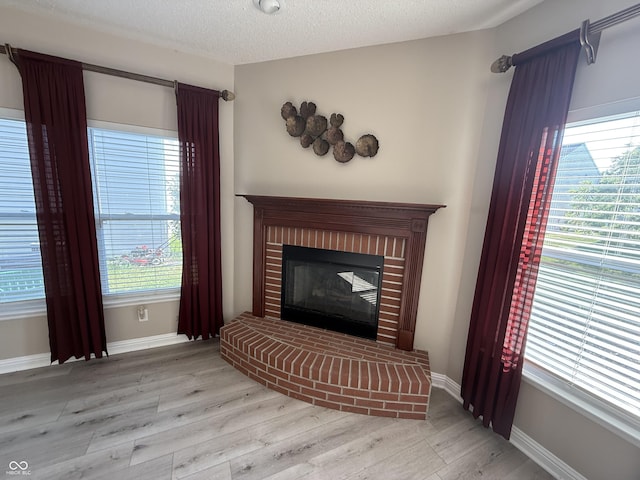 14171 Refreshing Garden Ln, Fishers, IN 46038 - living area with a fireplace, wood finished floors, and a textured ceiling