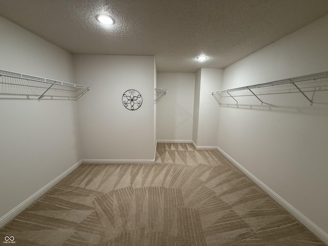 14171 Refreshing Garden Ln, Fishers, IN 46038 - walk in closet with carpet flooring