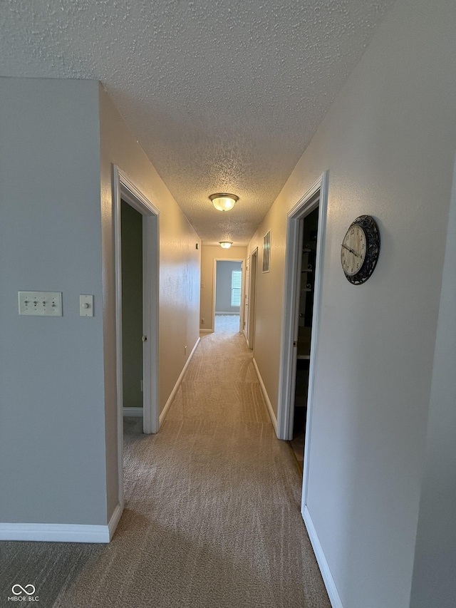 14171 Refreshing Garden Ln, Fishers, IN 46038 - hallway with a textured ceiling and carpet flooring