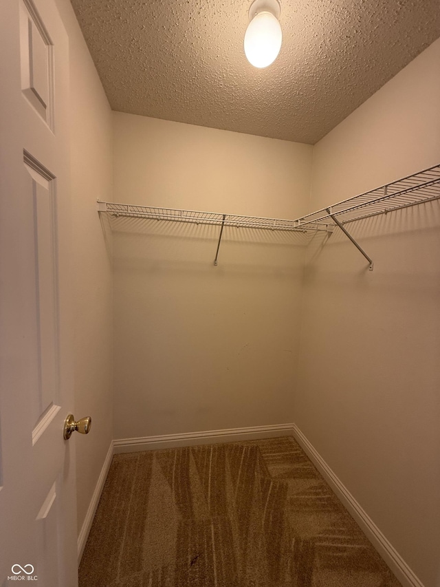 14171 Refreshing Garden Ln, Fishers, IN 46038 - walk in closet with carpet flooring