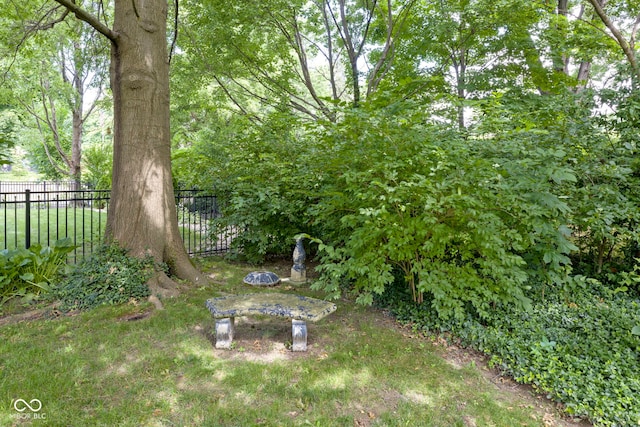 1114 Clairborne Ct, Indianapolis, IN 46280 - view of yard
