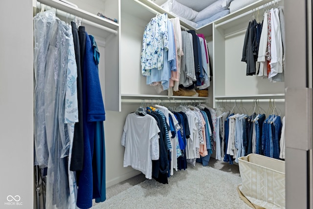 1114 Clairborne Ct, Indianapolis, IN 46280 - spacious closet with carpet floors