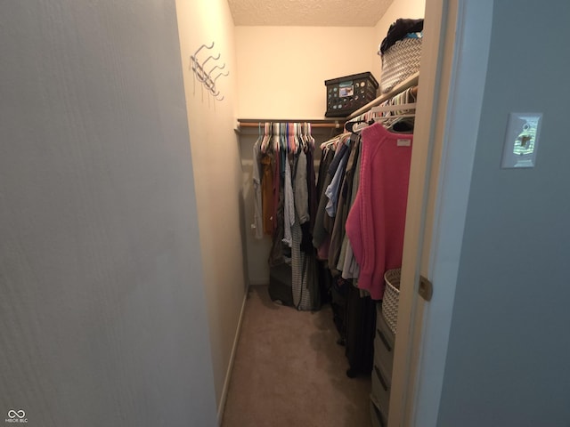 8401 Culpeper Dr, Indianapolis, IN 46227 - spacious closet with carpet